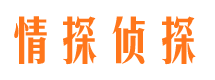 叶城外遇出轨调查取证